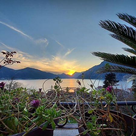 Apartment Terazza Di Ljuta Котор Екстериор снимка