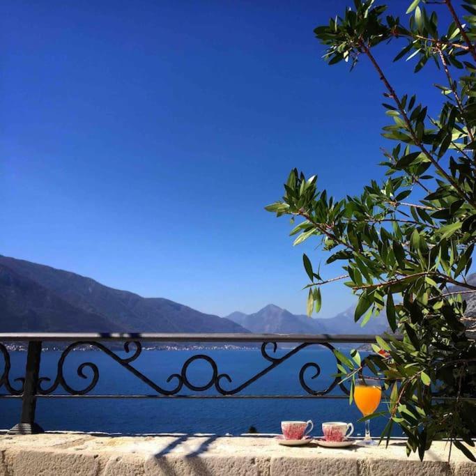 Apartment Terazza Di Ljuta Котор Екстериор снимка